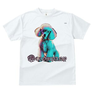 TVc Y LbY t@  t  vg JWA 킢 lԗp tBbglX _X Kl v[h