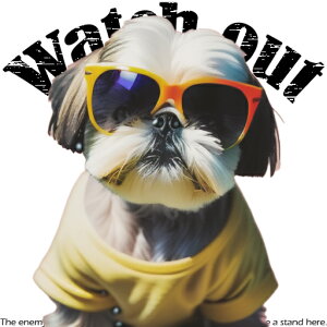 TOX V[Y[ TVc NbVJo[ 45×45cm Aj}   NbV{̕t ` t@