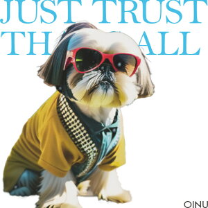 TOX V[Y[  NbVJo[ 45×45cm Aj}   NbV{̕t ` t@