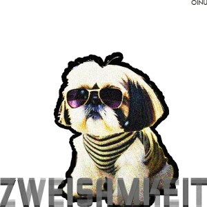 TOX V[Y[  NbVJo[ 45×45cm Aj}   NbV{̕t ` t@