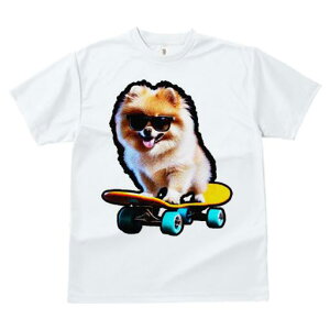 TVc fB[X t@  t  vg JWA 킢 lԗp tBbglX _X XP[g{[h |jA TOX