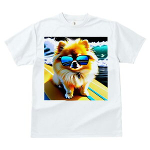 TVc fB[X t@  t  vg JWA 킢 lԗp tBbglX _X TOX |jA T[t{[h g