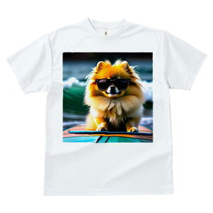 TVc fB[X t@  t  vg JWA 킢 lԗp tBbglX _X TOX |jA C g T[t{[h