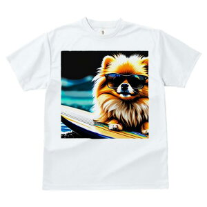 TVc fB[X t@  t  vg JWA 킢 lԗp tBbglX _X TOX |jA T[t{[h C