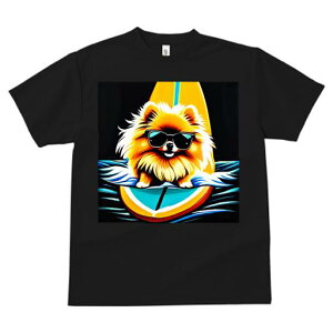 TVc fB[X t@  t  vg JWA 킢 lԗp tBbglX _X T[tB |jA TOX