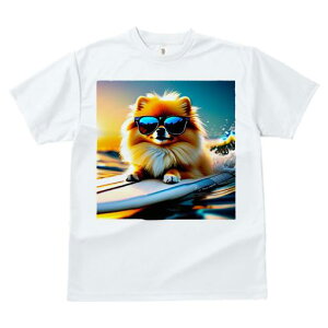 TVc fB[X t@  t  vg JWA 킢 lԗp tBbglX _X TOX |jA T[tB