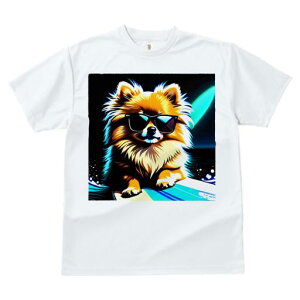 TVc fB[X t@  t  vg JWA 킢 lԗp tBbglX _X TOX |jA T[t{[h