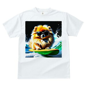 TVc fB[X t@  t  vg JWA 킢 lԗp tBbglX _X TOX |jA T[tB