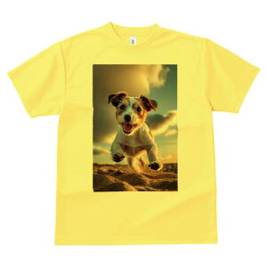 TVc Y LbY t@  t  vg JWA 킢 lԗp tBbglX _X  WbNbZeA  _