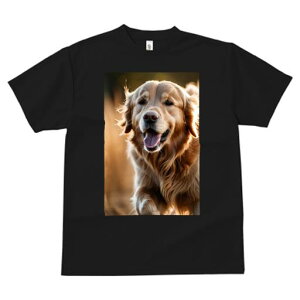 TVc fB[X t@  t  vg JWA 킢 lԗp tBbglX _X  S[fgo[ Ί  є