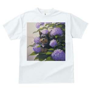 TVc fB[X t@  t  vg JWA 킢 lԗp tBbglX _X AWTC [NV[eA 