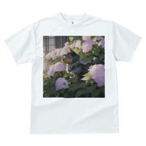 TVc Y LbY t@  t  vg JWA 킢 lԗp tBbglX _X  [NV[eA AWTC