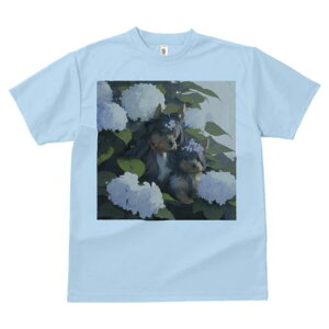 TVc Y LbY t@  t  vg JWA 킢 lԗp tBbglX _X AWTC [NV[eA 