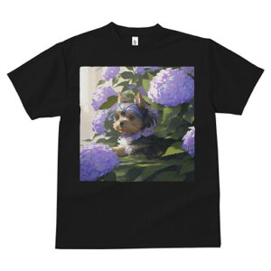 TVc fB[X t@  t  vg JWA 킢 lԗp tBbglX _X  [NV[eA AWTC