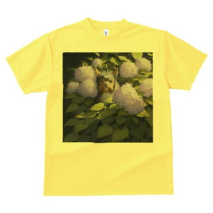 TVc Y LbY t@  t  vg JWA 킢 lԗp tBbglX _X AWTC [NV[eA  t