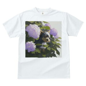 TVc fB[X t@  t  vg JWA 킢 lԗp tBbglX _X AWTC [NV[eA  t