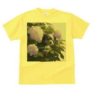 TVc Y LbY t@  t  vg JWA 킢 lԗp tBbglX _X AWTC [NV[eA  t