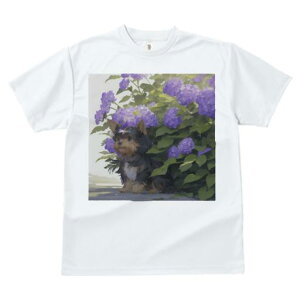 TVc fB[X t@  t  vg JWA 킢 lԗp tBbglX _X AWTC [NV[eA  A