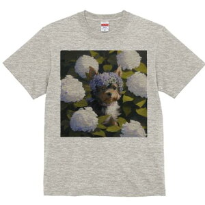 TVc Y LbY t@  t  vg JWA 킢 lԗp tBbglX _X AWTC [NV[eA 