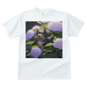 TVc fB[X t@  t  vg JWA 킢 lԗp tBbglX _X AWTC [NV[eA  A