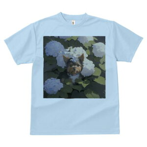 TVc Y LbY t@  t  vg JWA 킢 lԗp tBbglX _X AWTC [NV[eA  A