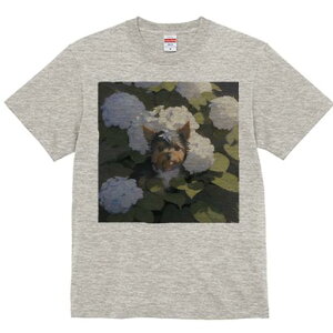 TVc Y LbY t@  t  vg JWA 킢 lԗp tBbglX _X AWTC [NV[eA  A