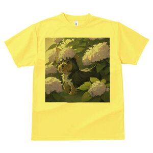 TVc Y LbY t@  t  vg JWA 킢 lԗp tBbglX _X AWTC [NV[eA