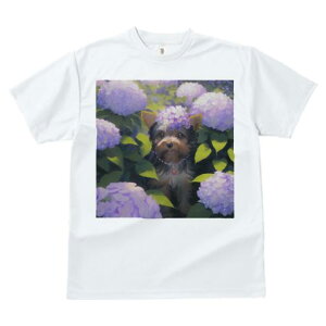 TVc fB[X t@  t  vg JWA 킢 lԗp tBbglX _X AWTC [NV[eA  ԏ lbNX