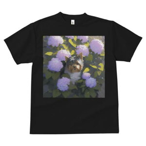 TVc fB[X t@  t  vg JWA 킢 lԗp tBbglX _X AWTC [NV[eA