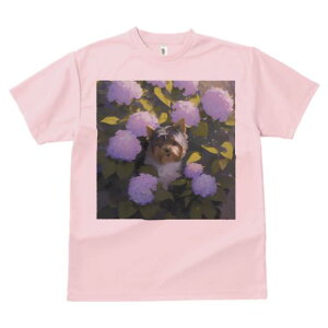 TVc Y LbY t@  t  vg JWA 킢 lԗp tBbglX _X AWTC [NV[eA