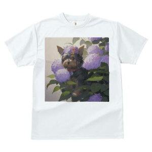 TVc fB[X t@  t  vg JWA 킢 lԗp tBbglX _X  [NV[eA AWTC