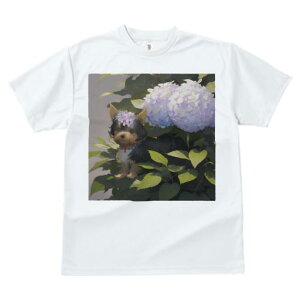 TVc fB[X t@  t  vg JWA 킢 lԗp tBbglX _X AWTC [NV[eA 