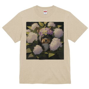 TVc Y LbY t@  t  vg JWA 킢 lԗp tBbglX _X  [NV[eA AWTC