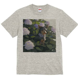 TVc Y LbY t@  t  vg JWA 킢 lԗp tBbglX _X AWTC [NV[eA 