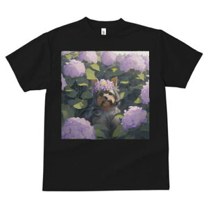 TVc fB[X t@  t  vg JWA 킢 lԗp tBbglX _X  [NV[eA AWTC Ԋ