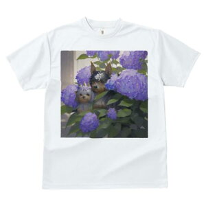 TVc fB[X t@  t  vg JWA 킢 lԗp tBbglX _X AWTC [NV[eA 