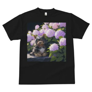 TVc fB[X t@  t  vg JWA 킢 lԗp tBbglX _X  [NV[eA AWTC A