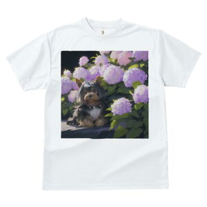 TVc fB[X t@  t  vg JWA 킢 lԗp tBbglX _X  [NV[eA AWTC A