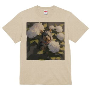 TVc Y LbY t@  t  vg JWA 킢 lԗp tBbglX _X AWTC [NV[eA  A