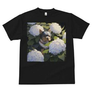 TVc fB[X t@  t  vg JWA 킢 lԗp tBbglX _X AWTC [NV[eA