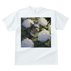 TVc fB[X t@  t  vg JWA 킢 lԗp tBbglX _X AWTC [NV[eA