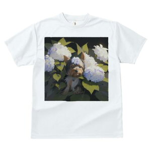 TVc Y LbY t@  t  vg JWA 킢 lԗp tBbglX _X AWTC [NV[eA 