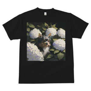 TVc fB[X t@  t  vg JWA 킢 lԗp tBbglX _X AWTC [NV[eA