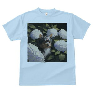 TVc Y LbY t@  t  vg JWA 킢 lԗp tBbglX _X AWTC [NV[eA