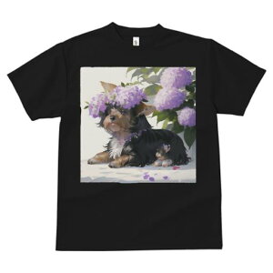 TVc fB[X t@  t  vg JWA 킢 lԗp tBbglX _X  [NV[eA AWTC