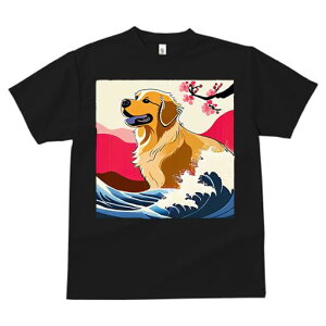 TVc fB[X t@  t  vg JWA 킢 lԗp tBbglX _X g S[fgo[  {