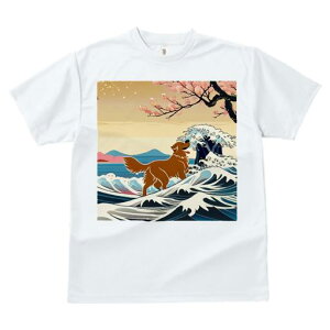 TVc fB[X t@  t  vg JWA 킢 lԗp tBbglX _X g S[fgo[ C  {