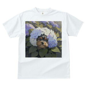 TVc Y LbY t@  t  vg JWA 킢 lԗp tBbglX _X  [NV[eA AWTC A