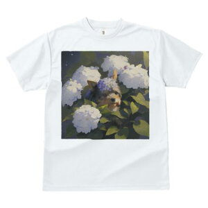 TVc fB[X t@  t  vg JWA 킢 lԗp tBbglX _X AWTC [NV[eA  A