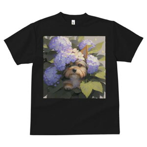 TVc fB[X t@  t  vg JWA 킢 lԗp tBbglX _X  [NV[eA AWTC